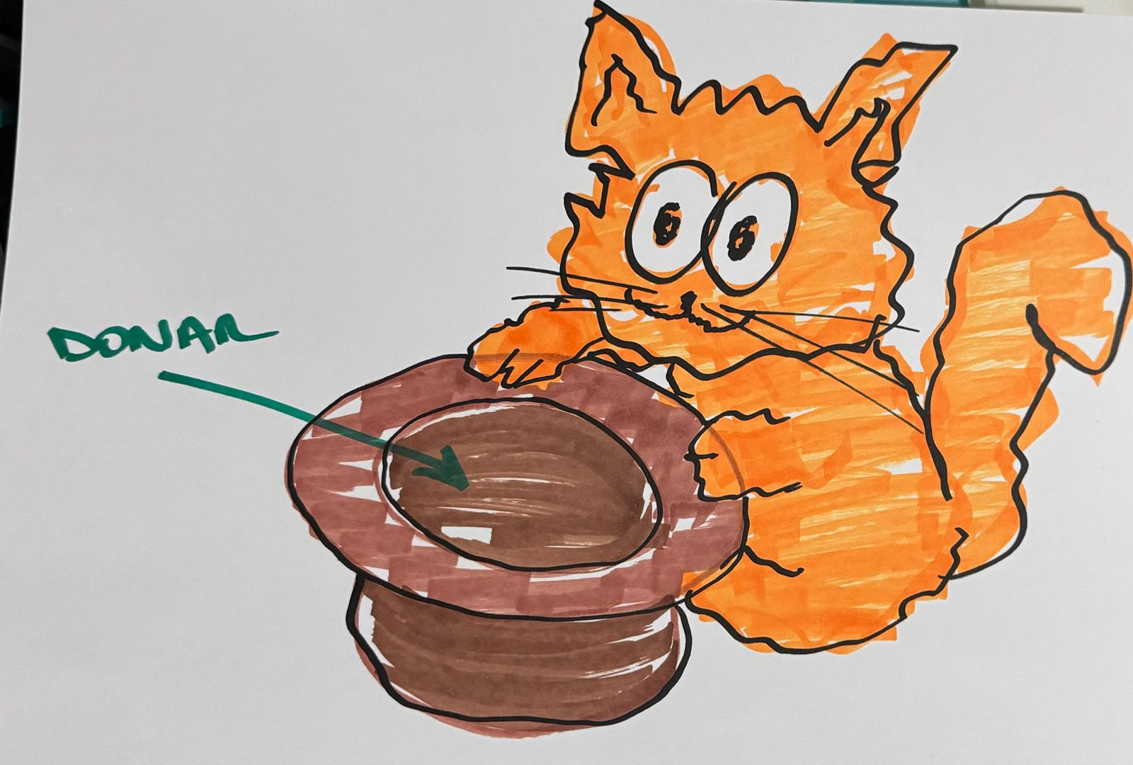 Support Caturday